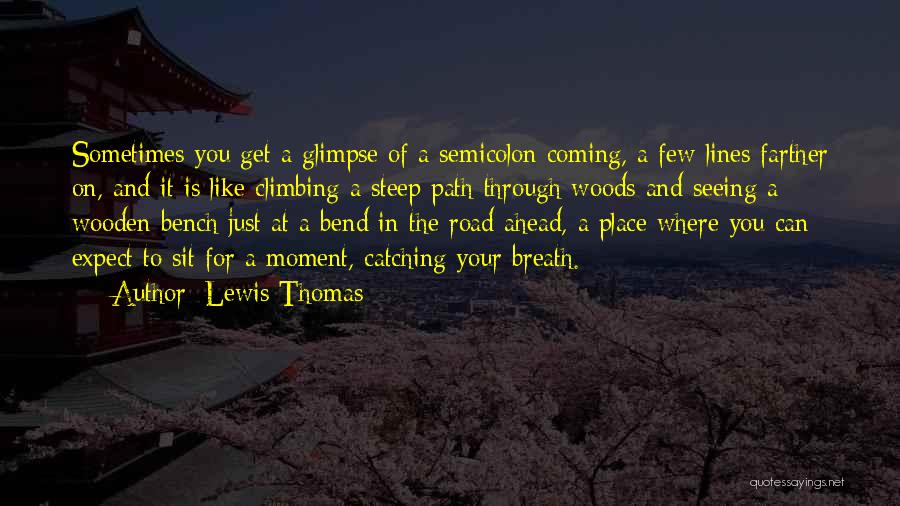 Past Catching Up Quotes By Lewis Thomas