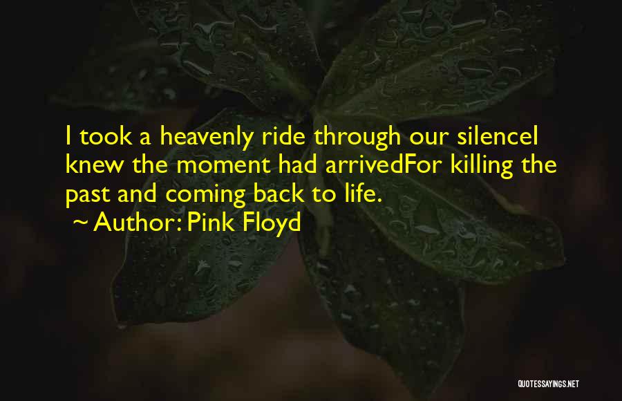 Past Coming Back Quotes By Pink Floyd