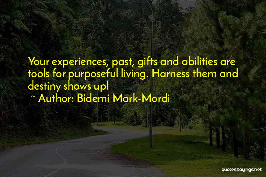 Past Experiences Quotes By Bidemi Mark-Mordi