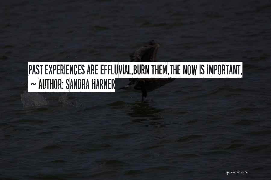 Past Experiences Quotes By Sandra Harner