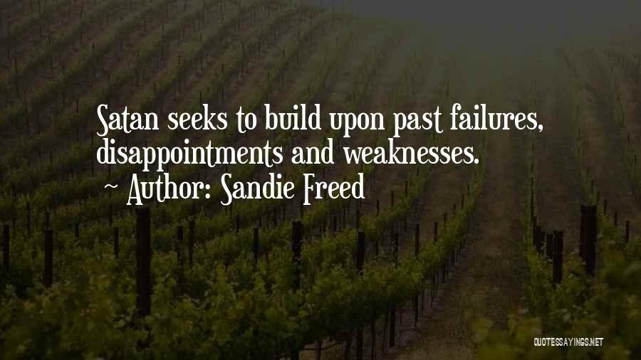 Past Failures Quotes By Sandie Freed