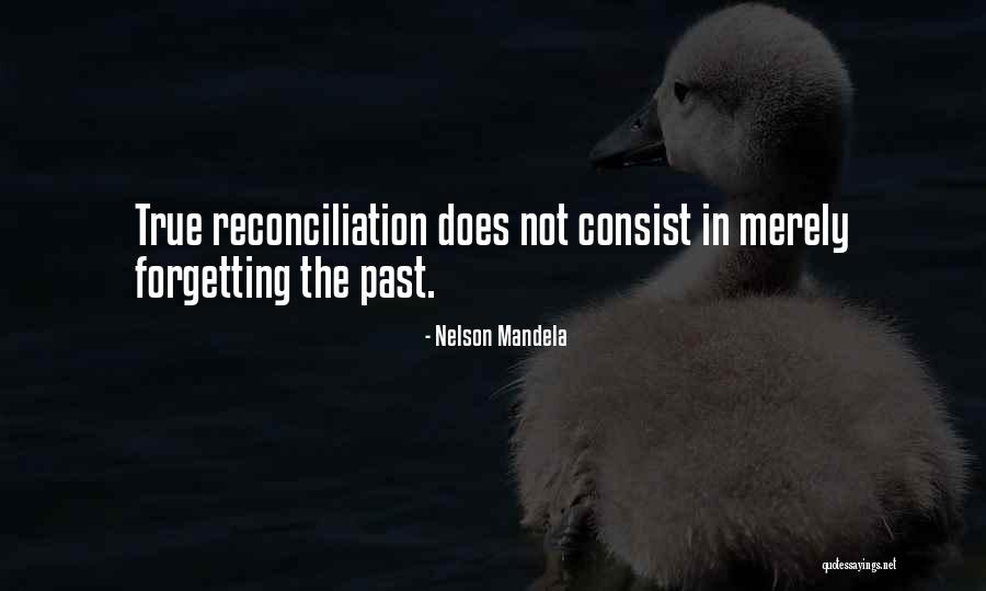 Past Forgetting Quotes By Nelson Mandela