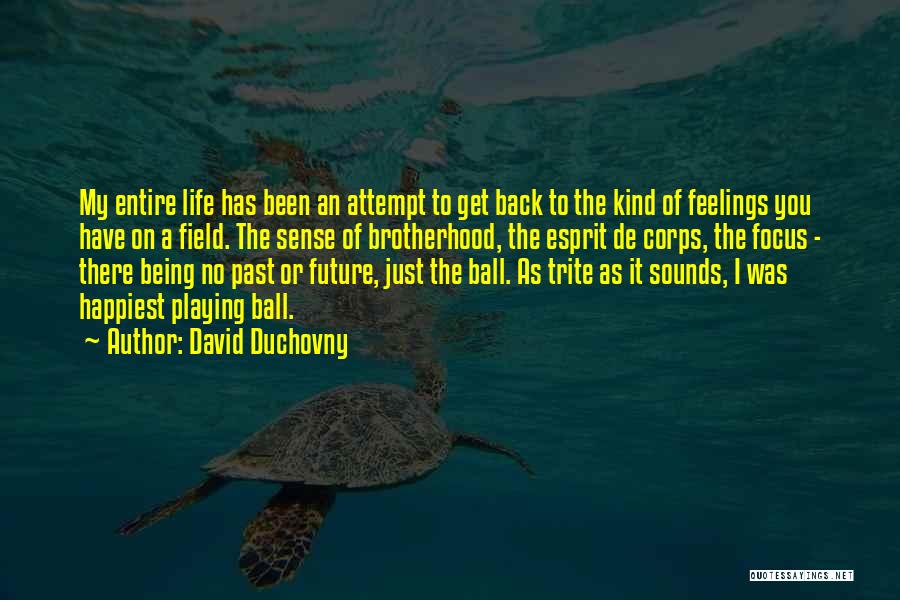 Past & Future Life Quotes By David Duchovny