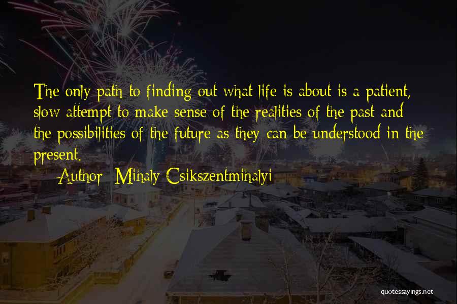 Past & Future Life Quotes By Mihaly Csikszentmihalyi