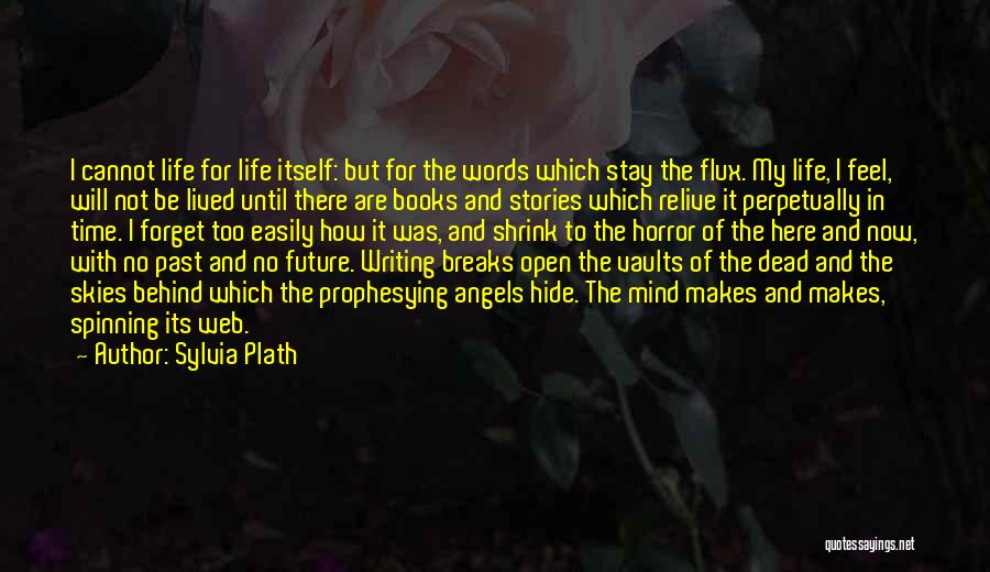 Past & Future Life Quotes By Sylvia Plath