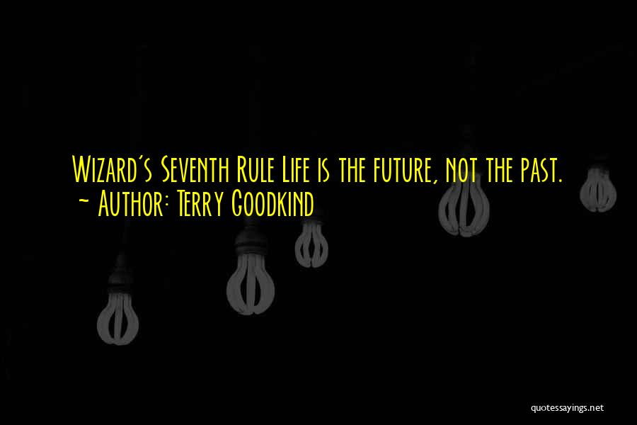 Past & Future Life Quotes By Terry Goodkind