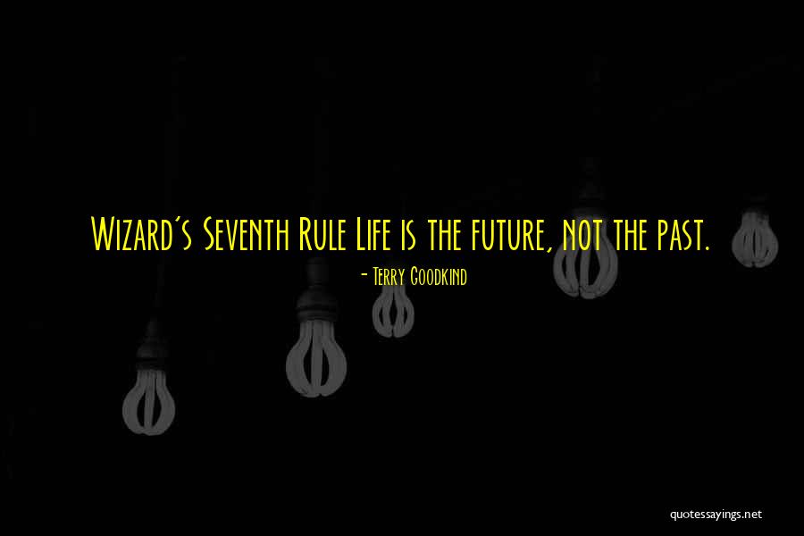 Past & Future Life Quotes By Terry Goodkind Past & Future Life Quotes By Terry Goodkind