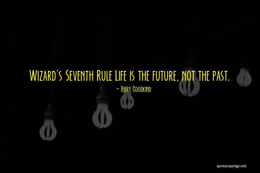 Past & Future Life Quotes By Terry Goodkind