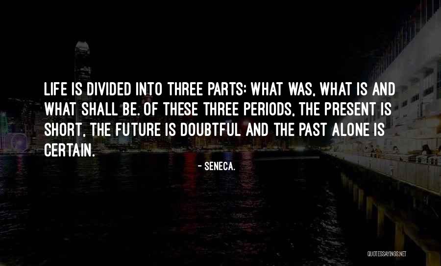 Past Future Present Quotes By Seneca.