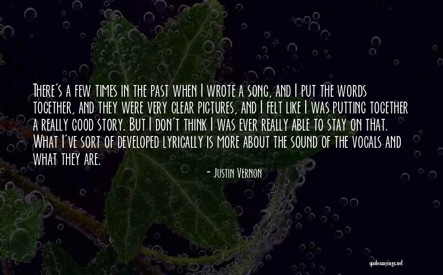 Past Good Times Quotes By Justin Vernon