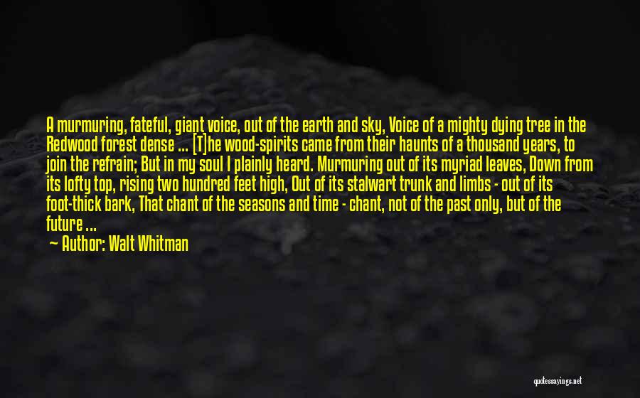 Past Haunts Me Quotes By Walt Whitman