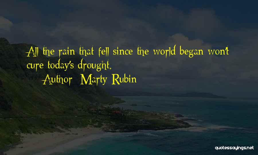 Past History Quotes By Marty Rubin