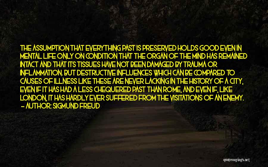 Past History Quotes By Sigmund Freud