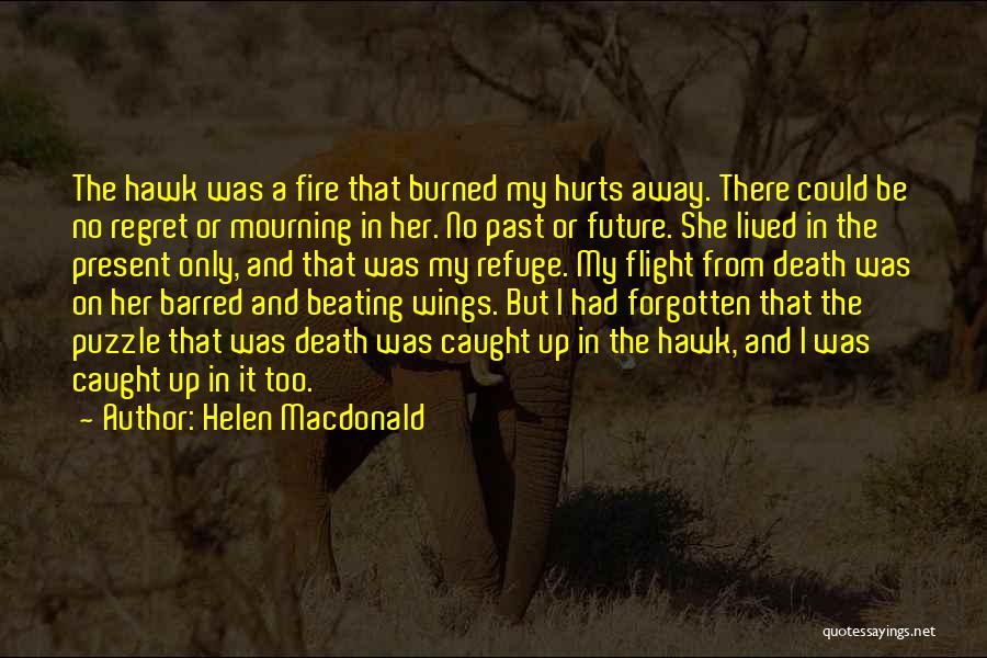 Past Hurts Quotes By Helen Macdonald