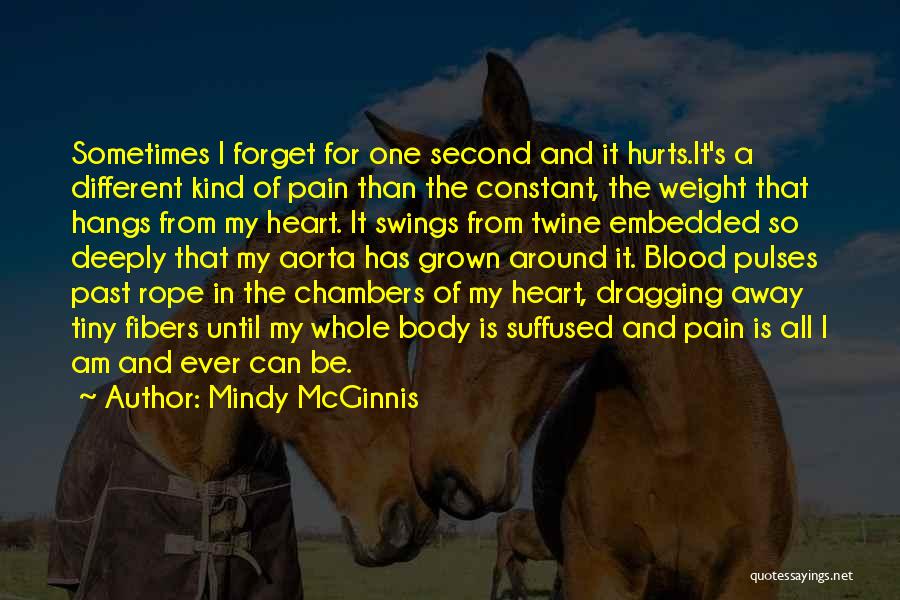 Past Hurts Quotes By Mindy McGinnis