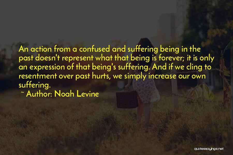 Past Hurts Quotes By Noah Levine