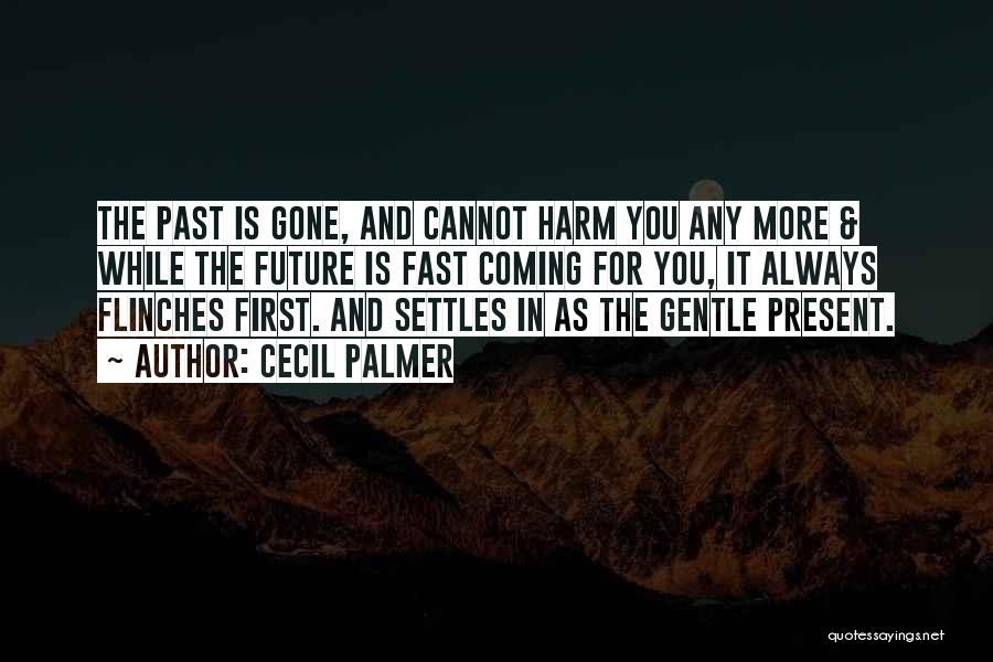 Past Is Gone Quotes By Cecil Palmer