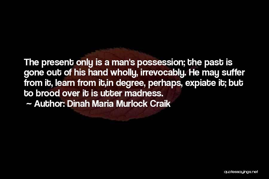 Past Is Gone Quotes By Dinah Maria Murlock Craik