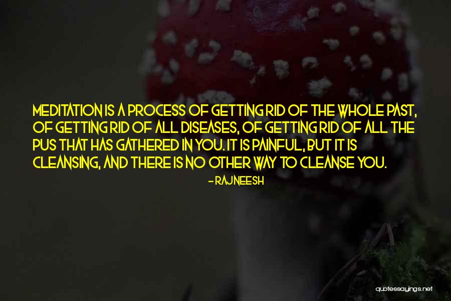 Past Is Painful Quotes By Rajneesh Past Is Painful Quotes By Rajneesh