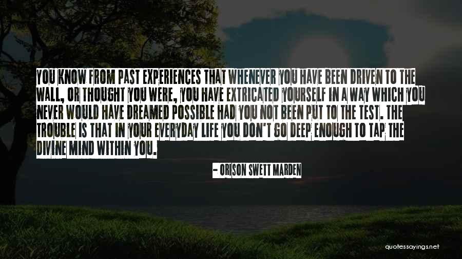 Past Life Experiences Quotes By Orison Swett Marden