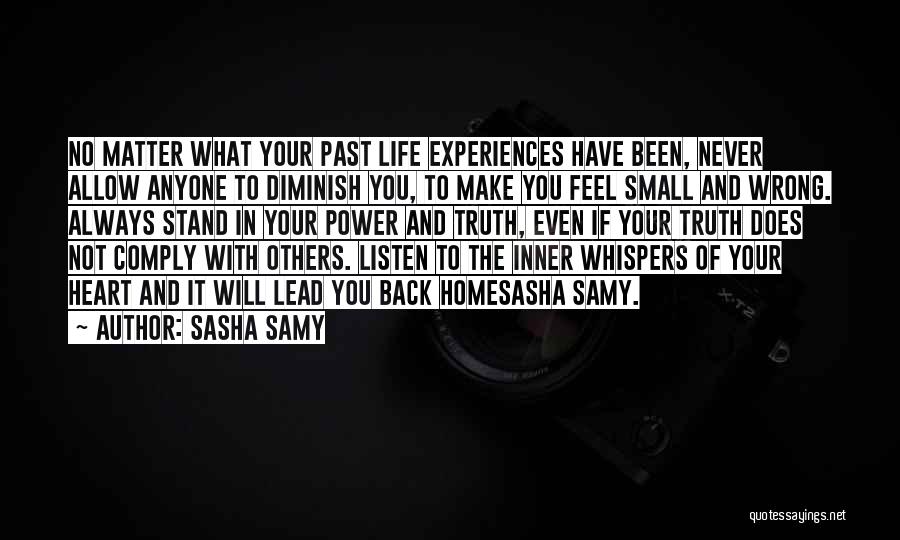 Past Life Experiences Quotes By Sasha Samy