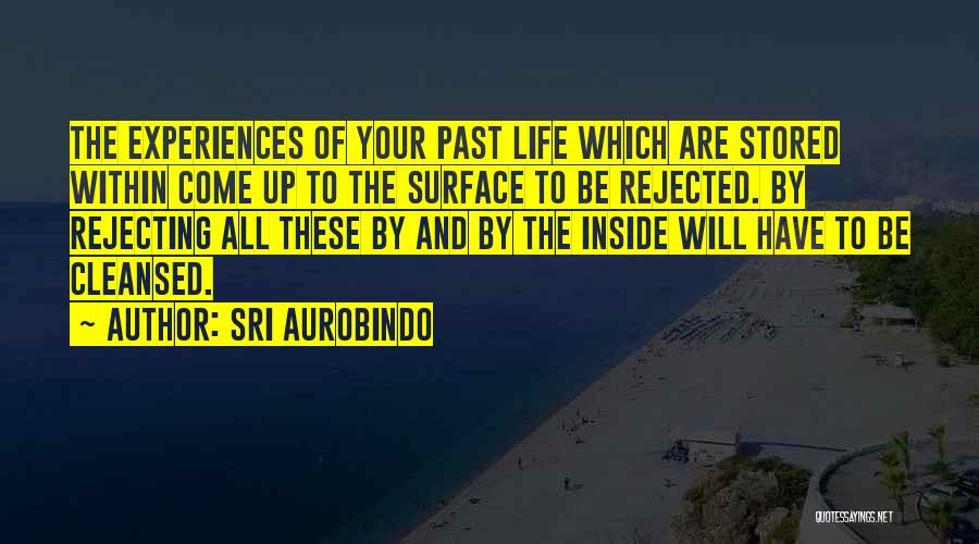 Past Life Experiences Quotes By Sri Aurobindo