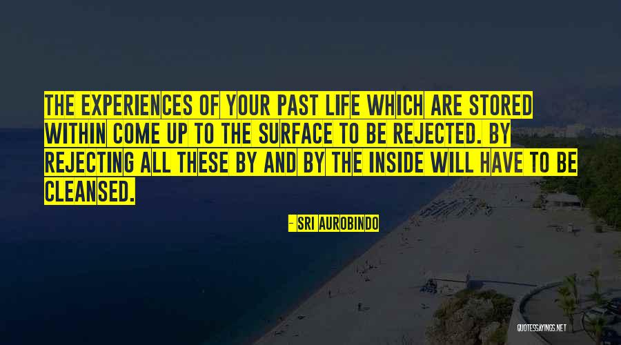 Past Life Experiences Quotes By Sri Aurobindo