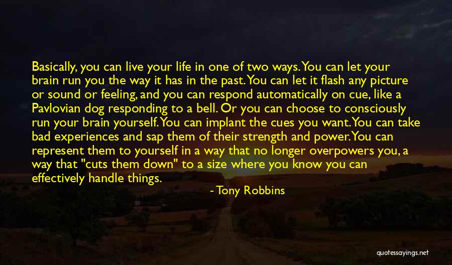 Past Life Experiences Quotes By Tony Robbins