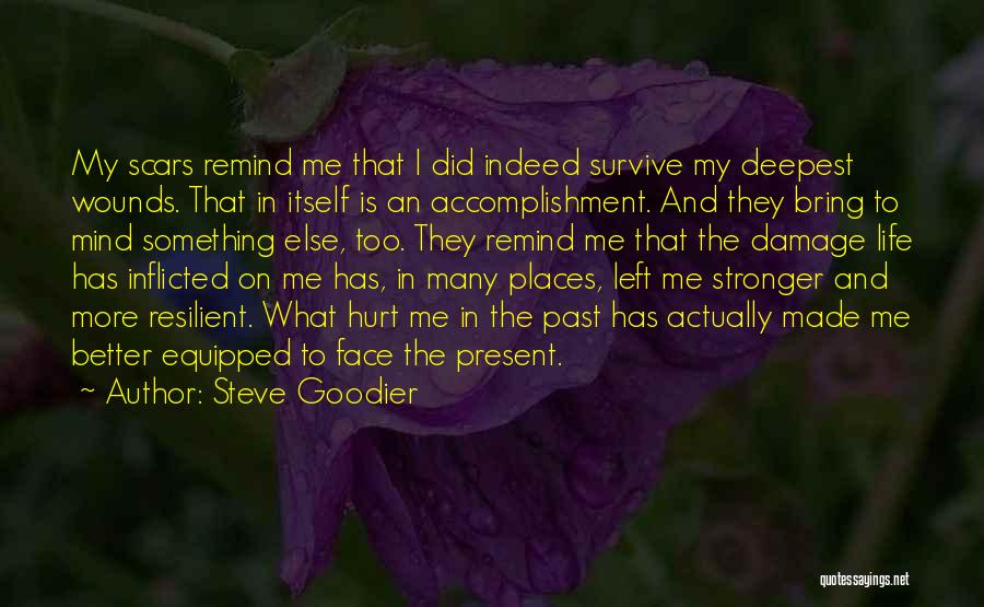 Past Life Hurts Quotes By Steve Goodier