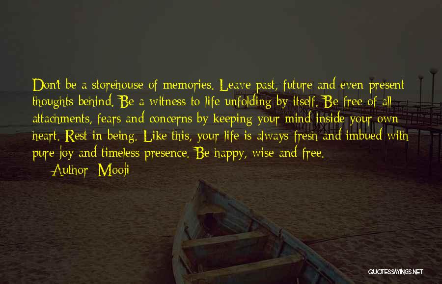 Past Life Memories Quotes By Mooji