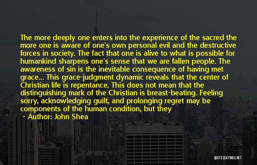 Past Life Regret Quotes By John Shea