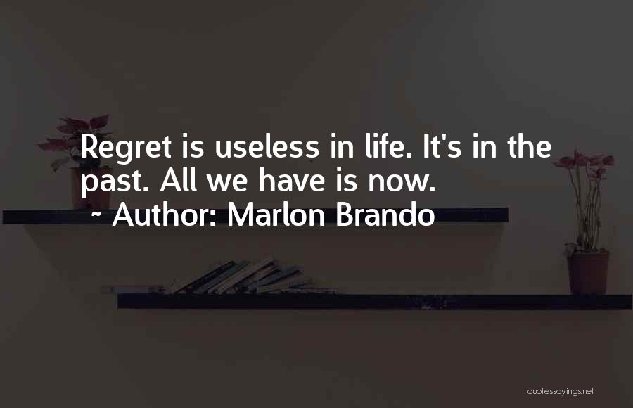 Past Life Regret Quotes By Marlon Brando