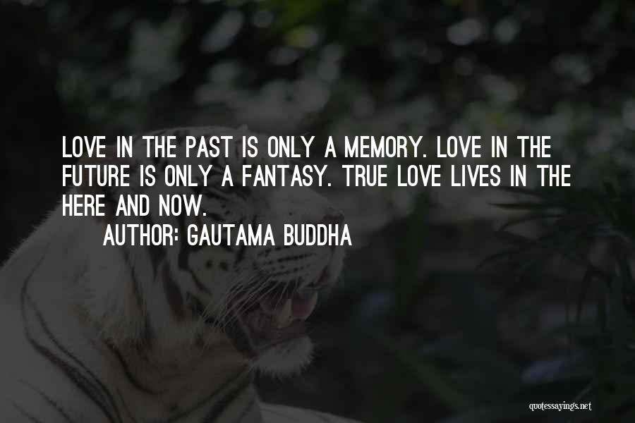 Past Love Memories Quotes By Gautama Buddha