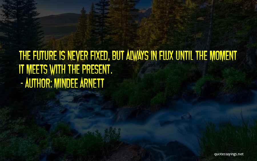Past Meets Present Quotes By Mindee Arnett