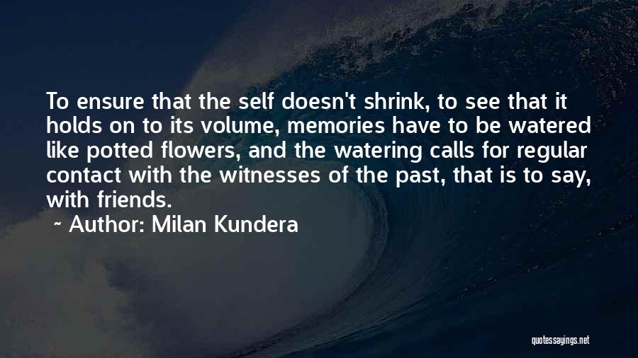 Past Memories With Friends Quotes By Milan Kundera