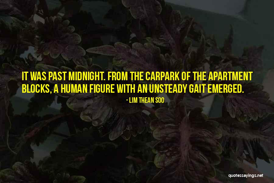 Past Midnight Quotes By Lim Thean Soo Past Midnight Quotes By Lim Thean Soo