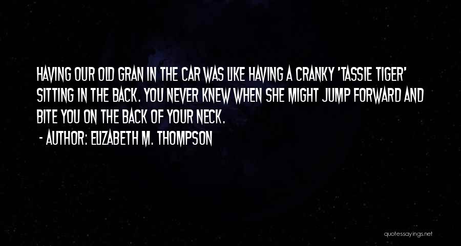 Past Never Comes Back Quotes By Elizabeth M. Thompson