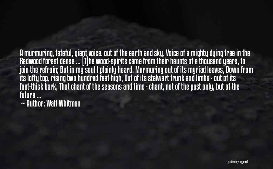 Past Not Future Quotes By Walt Whitman