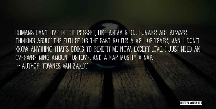 Past Present And Future Love Quotes By Townes Van Zandt