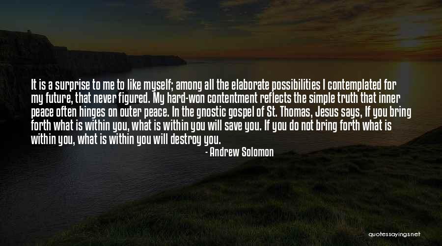 Past Reflects Future Quotes By Andrew Solomon Past Reflects Future Quotes By Andrew Solomon