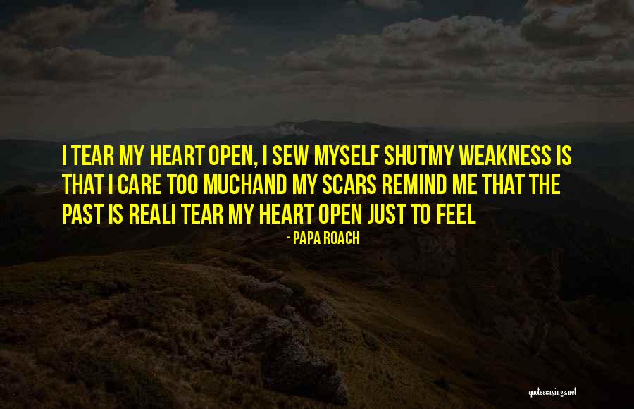 Past Scars Quotes By Papa Roach Past Scars Quotes By Papa Roach