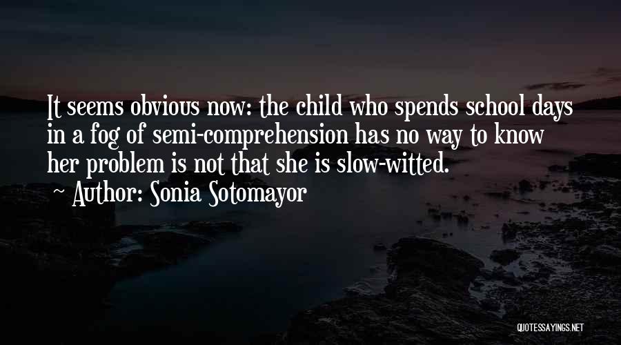 Past School Days Quotes By Sonia Sotomayor