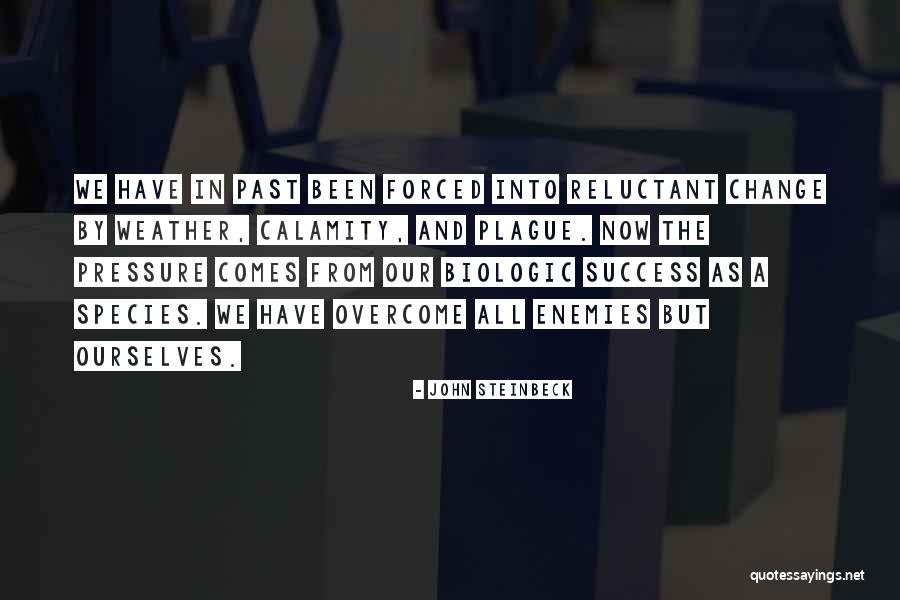 Past Success Quotes By John Steinbeck Past Success Quotes By John Steinbeck
