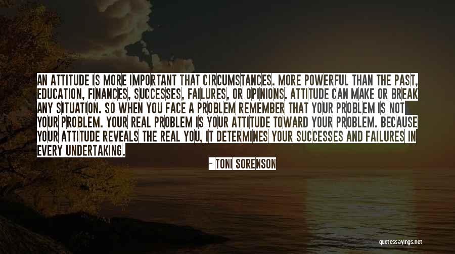 Past Successes Quotes By Toni Sorenson Past Successes Quotes By Toni Sorenson