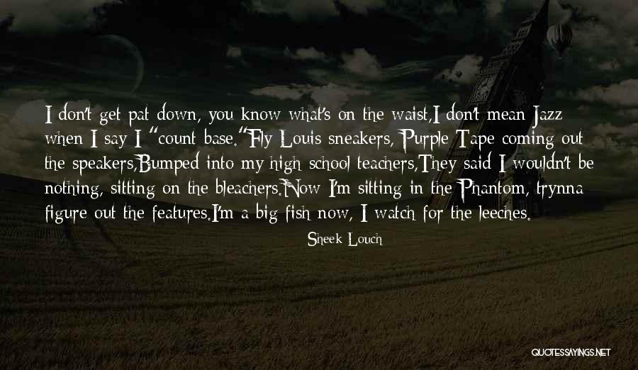 Past The Bleachers Quotes By Sheek Louch Past The Bleachers Quotes By Sheek Louch