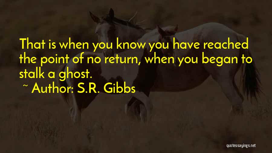 Past The Point Of No Return Quotes By S.R. Gibbs