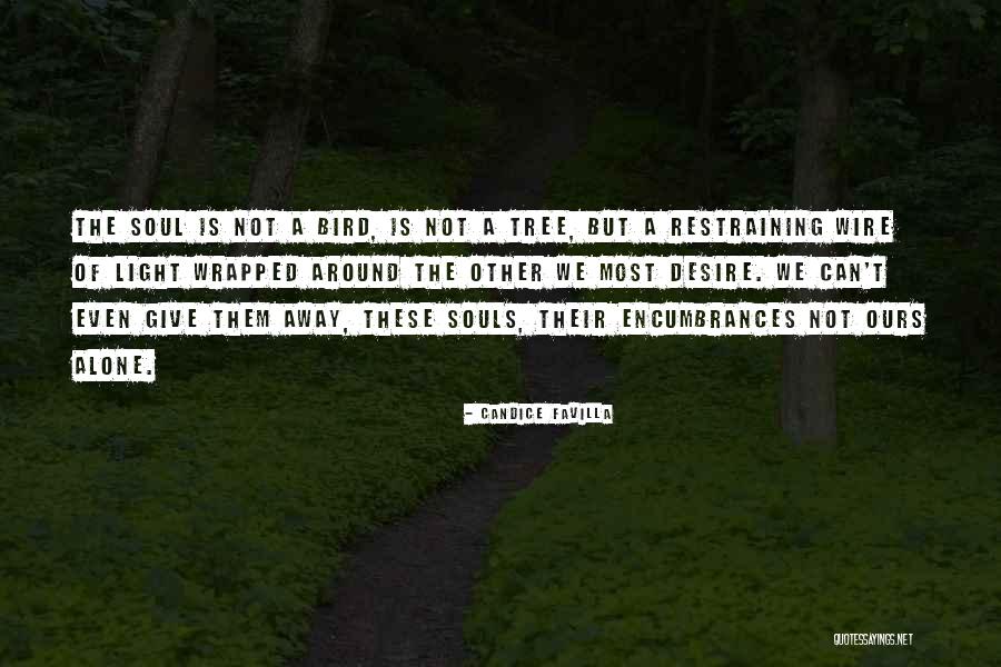 Past The Wire Quotes By Candice Favilla Past The Wire Quotes By Candice Favilla