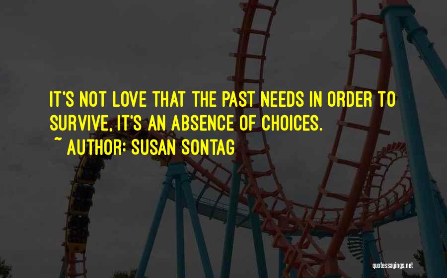 Past Time Love Quotes By Susan Sontag