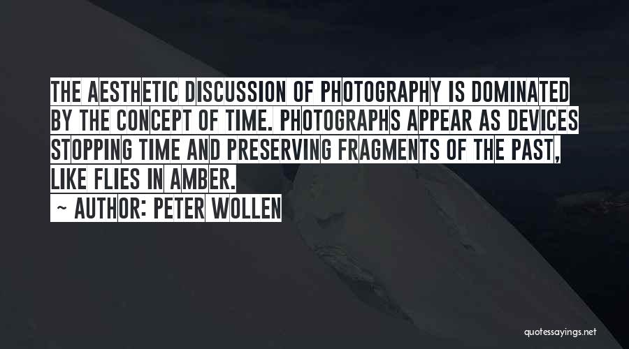 Past Time Quotes By Peter Wollen