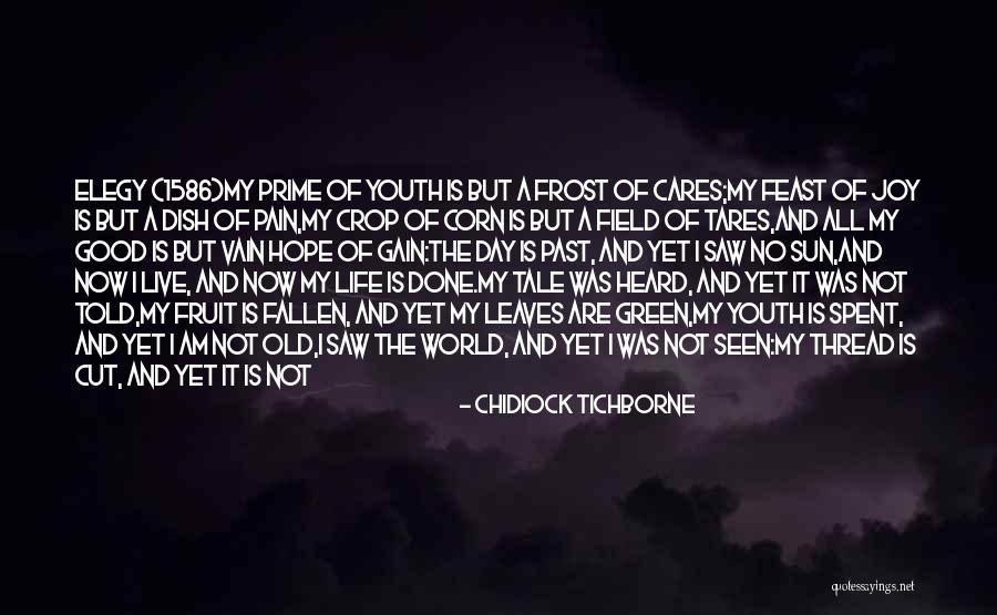 Past Youth Quotes By Chidiock Tichborne